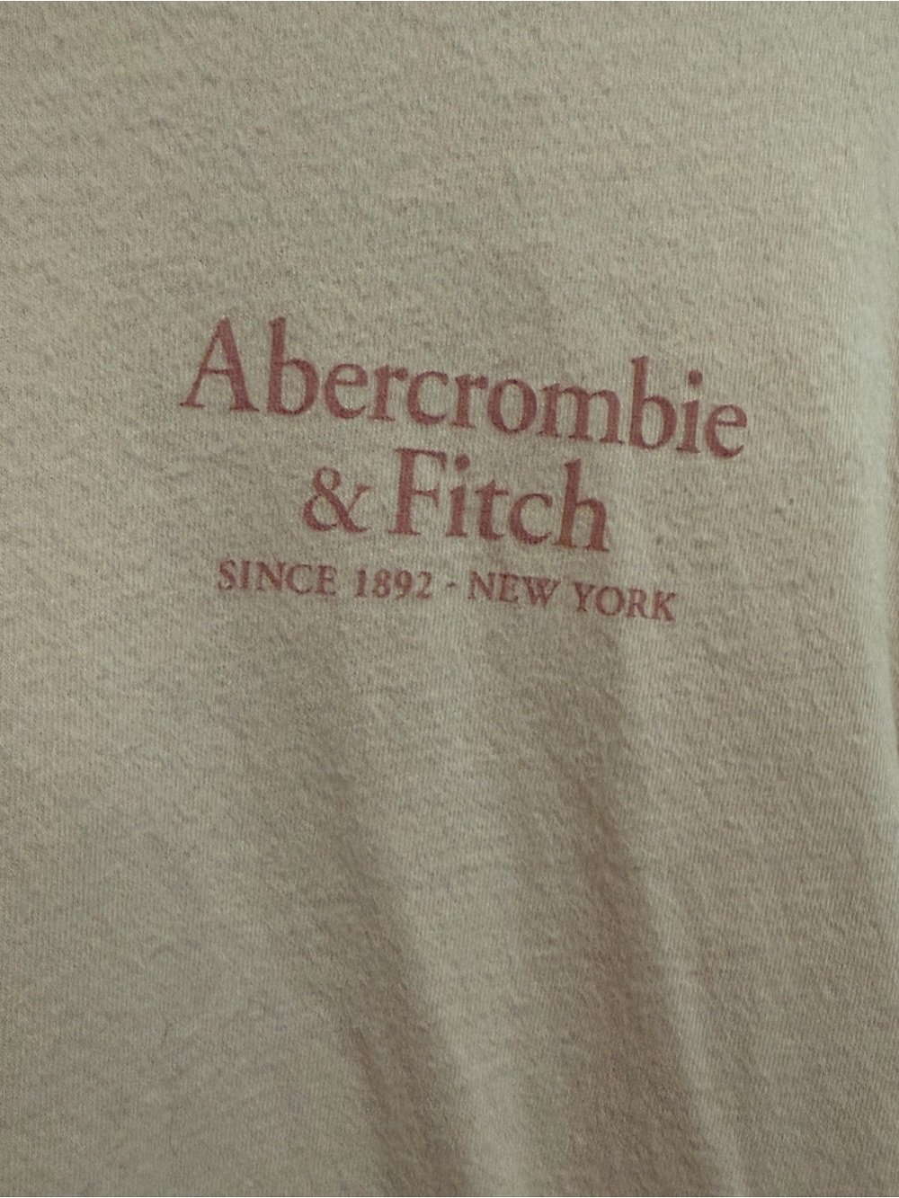Abercrombie & Fitch Long-Sleeve Logo Tee - Pale Pink - Picture 2 of 6